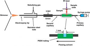 Schematic of the laser ablation sample transfer collection system for on‐line ESI