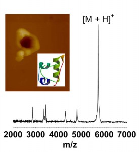 AFM image of ablation crater of an insulin thin film and MALDI mass spectrum of the collected material