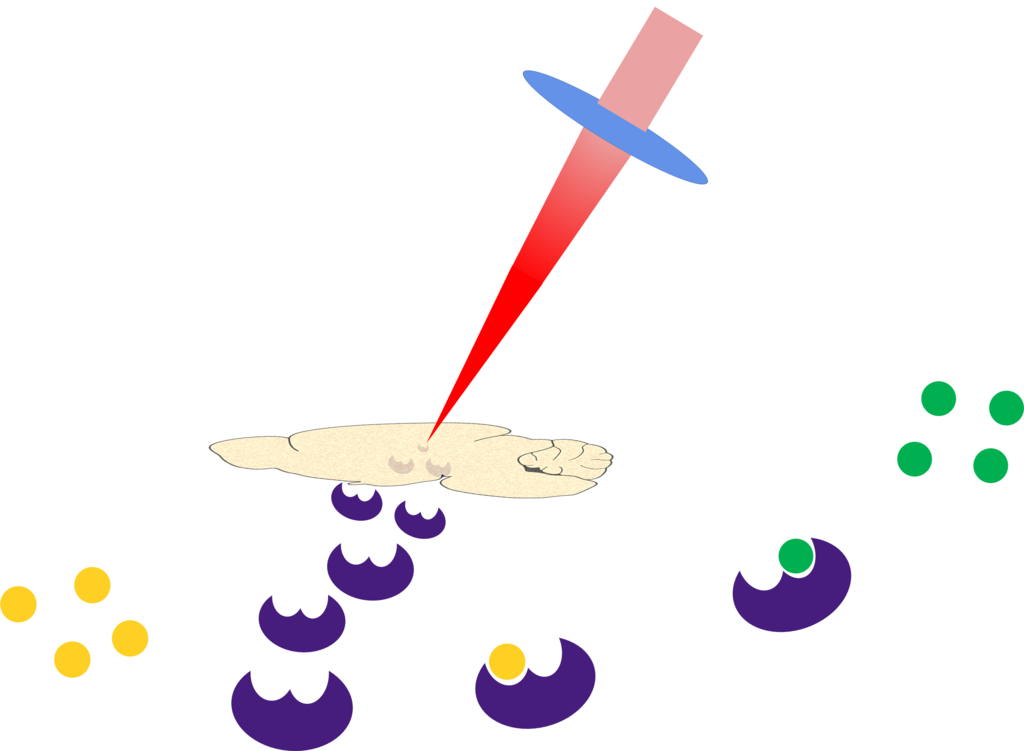 Graphical abstract: Infrared laser ablation and capture of enzymes with conserved activity