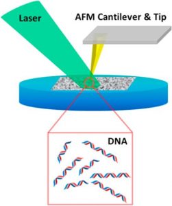Tip-enhanced laser ablation and capture of DNA