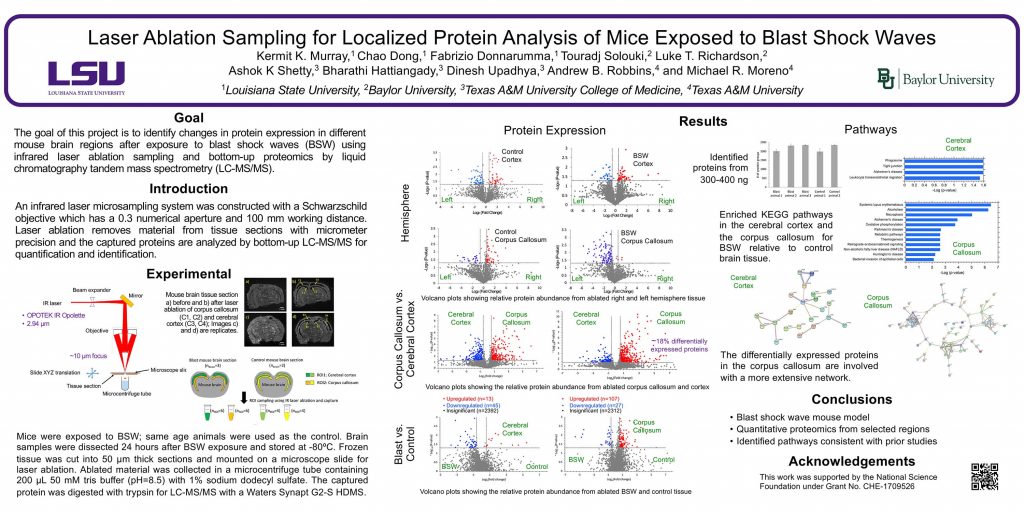 Laser Ablation Sampling for Localized Protein Analysis of Mice Exposed to Blast Shock Waves