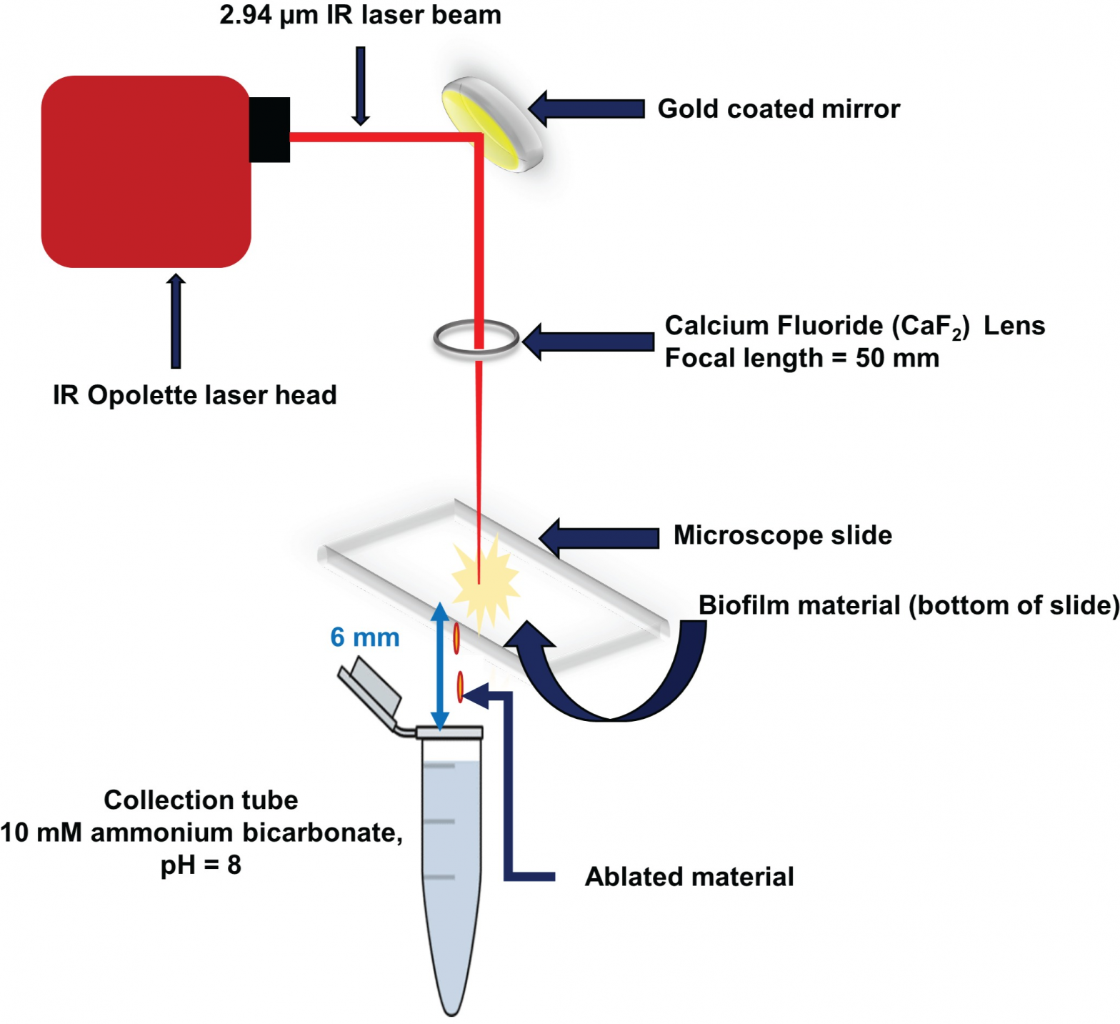 laser ablation sample transfer apparatus.