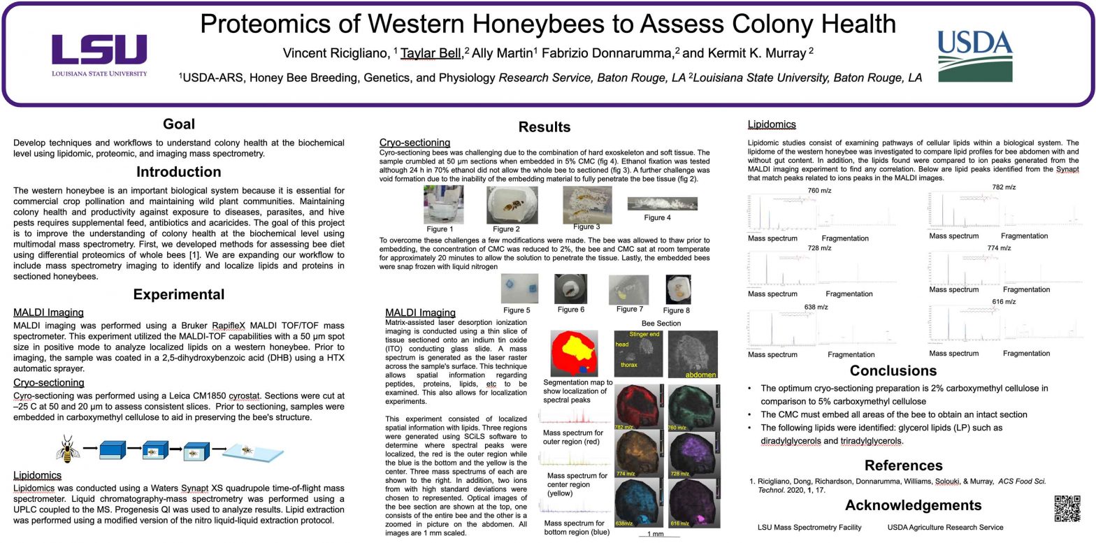 Proteomics of Western Honeybees to Assess Colony Health